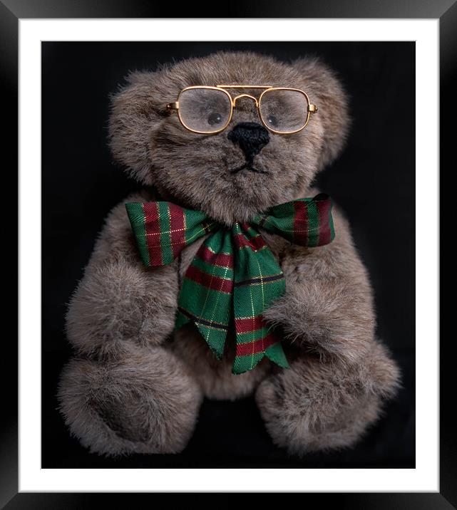 Gorgeous Brown Teddy Bear with gold glasses and a  Framed Mounted Print by Maggie Bajada