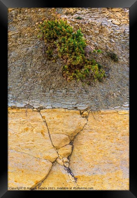 Artistic Rock of Limestone and Earth. Framed Print by Maggie Bajada
