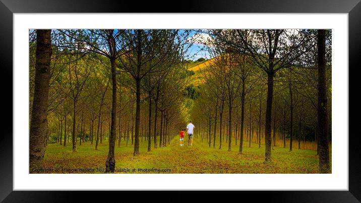 Tranquility Walk through the Forest Framed Mounted Print by Maggie Bajada