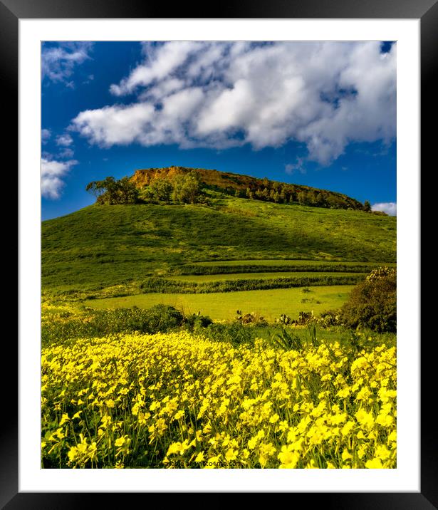 The Green and Yellow Hill of il-Gelmus of Gozo. Framed Mounted Print by Maggie Bajada