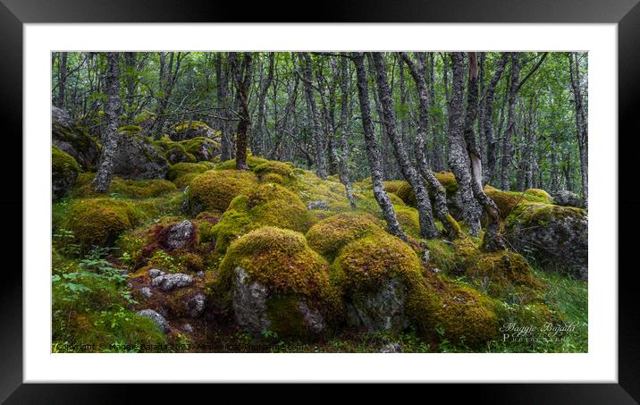 Green Forest with Moss and Trees. Framed Mounted Print by Maggie Bajada
