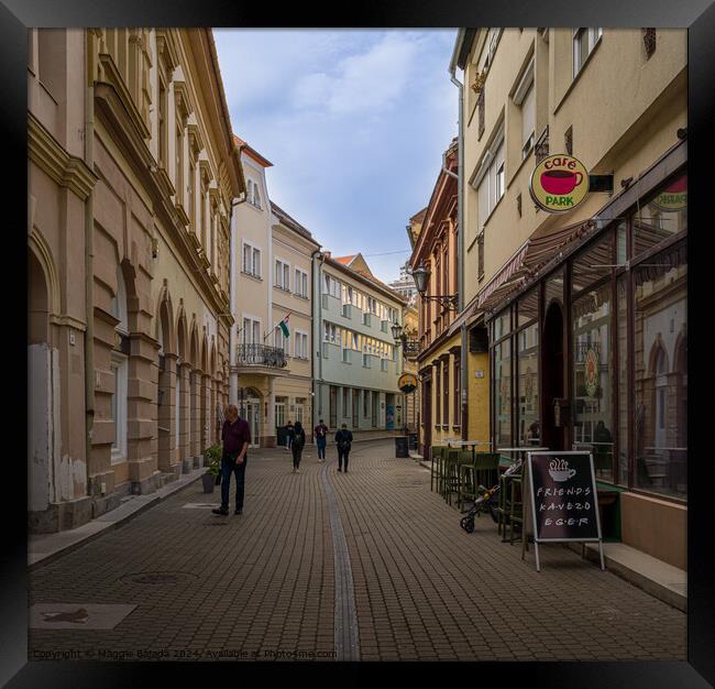 Colorful Streets of Eger Town in Hungary. Framed Print by Maggie Bajada
