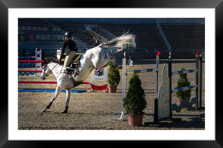 Equestrian White Horse Jumping. Framed Mounted Print by Maggie Bajada