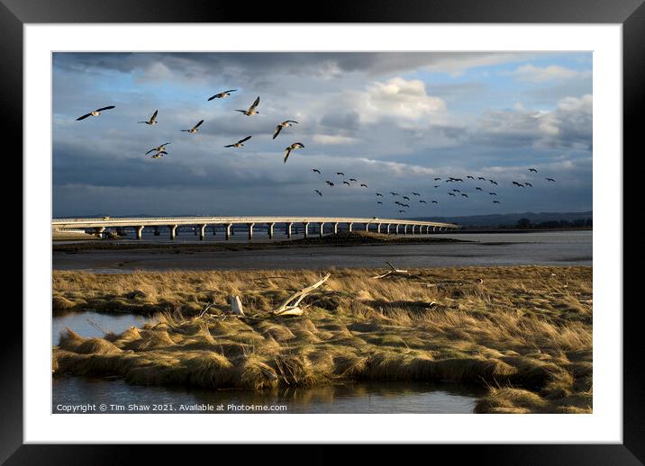 The Long Bridge Framed Mounted Print by Tim Shaw