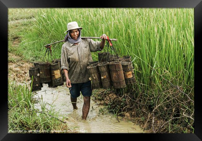 Fisherman on the Mekong Delta, Vietnam Framed Print by Ian Miller