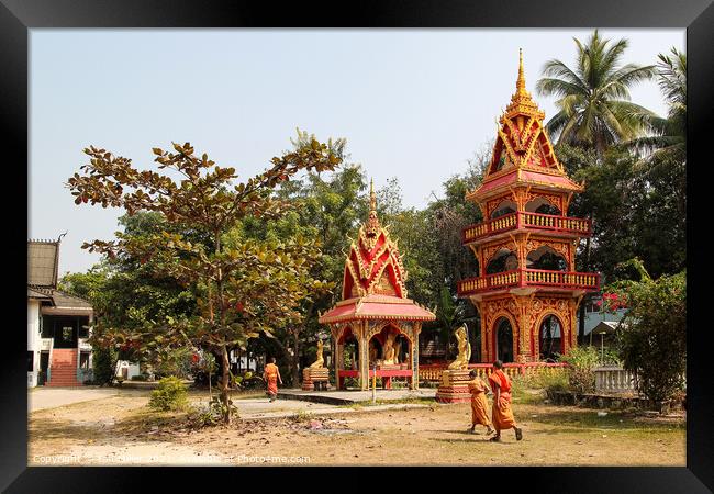 Pagoda Luang Prabang, Laos Framed Print by Ian Miller