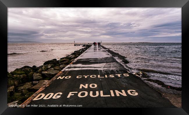 No Fouling Framed Print by Ian Miller