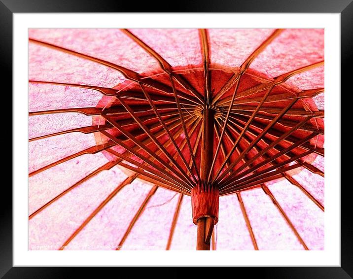 Umbrella at work. Framed Mounted Print by Ian Miller
