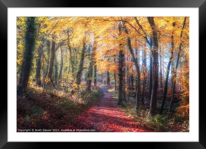 Autumn Path Framed Mounted Print by Brett Gasser
