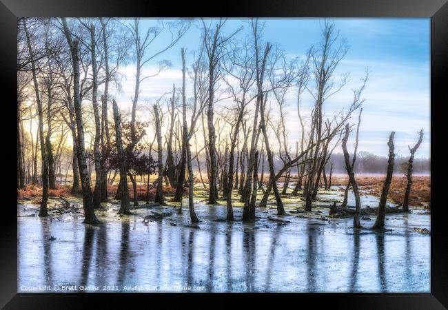 New Forest Trees on Ice Framed Print by Brett Gasser