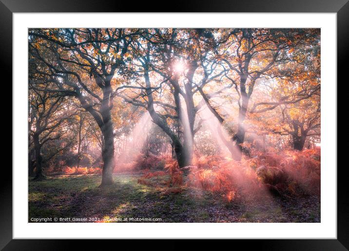 Forest Sun Rays Framed Mounted Print by Brett Gasser