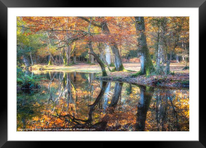 New Forest Reflections Framed Mounted Print by Brett Gasser