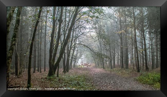 Misty Rain In Hockham Woods Norfolk Framed Print by GJS Photography Artist