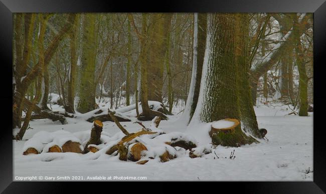 Snow in the Woods Framed Print by GJS Photography Artist
