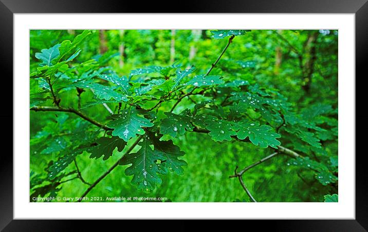 Glistening Gems Framed Mounted Print by GJS Photography Artist