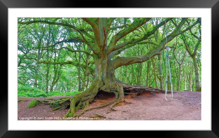 Old Oak Exposed Roots and Kids Rope Swing Framed Mounted Print by GJS Photography Artist