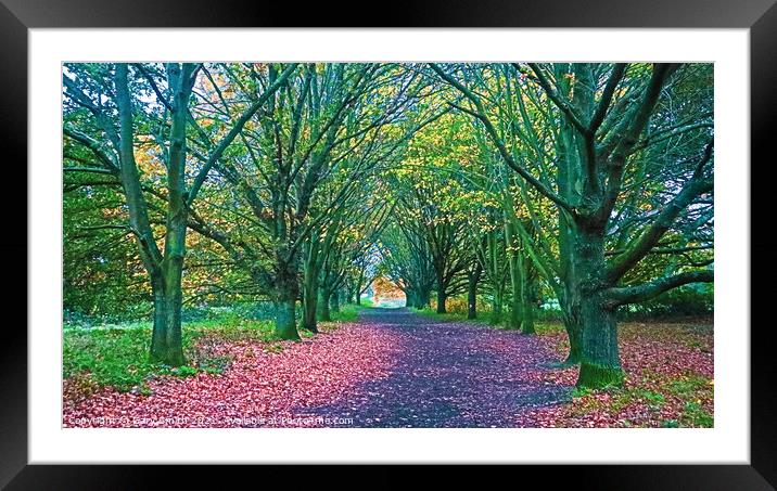 Queen Mothers Avenue Dereham Framed Mounted Print by GJS Photography Artist