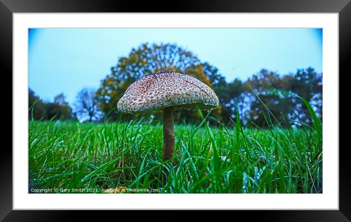 Medusa Mushroom Standing Tall  Framed Mounted Print by GJS Photography Artist