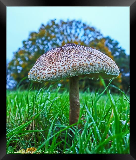 Majestic Medusa Mushroom Framed Print by GJS Photography Artist
