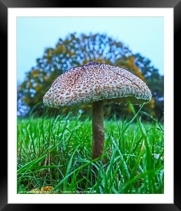 Majestic Medusa Mushroom Framed Mounted Print by GJS Photography Artist