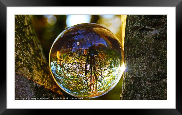 Photo Ball In The Woods Golden Sunlight Breaking Framed Mounted Print by GJS Photography Artist