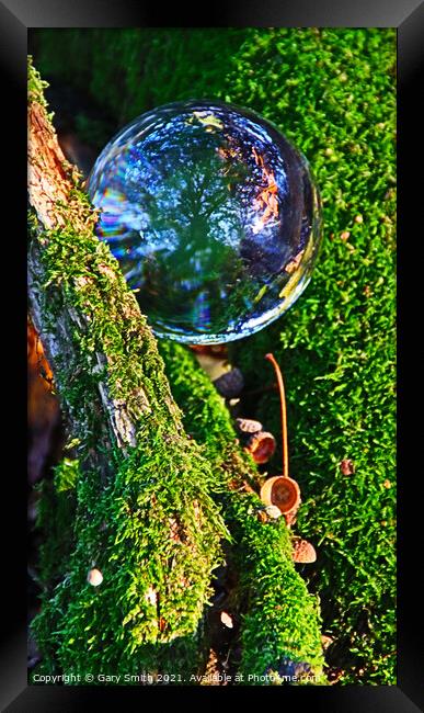 Ball, Woods, Nature Framed Print by GJS Photography Artist
