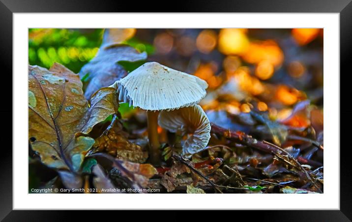 Snowy Waxcap Fungi in Detail Framed Mounted Print by GJS Photography Artist
