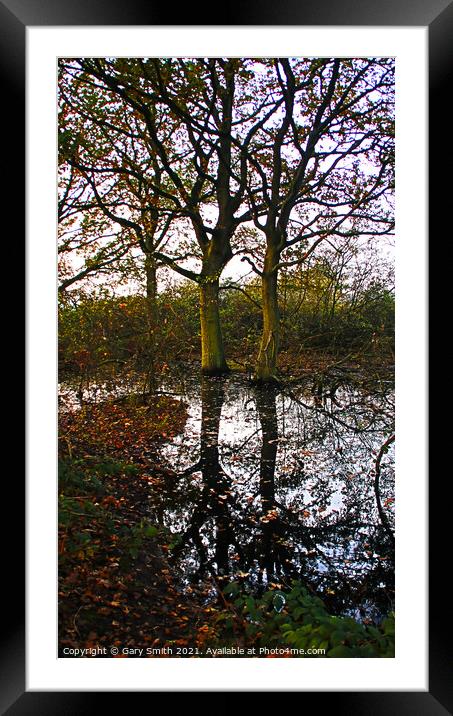 Reflections Framed Mounted Print by GJS Photography Artist