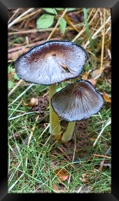 Pleated Ink Cap  Framed Print by GJS Photography Artist