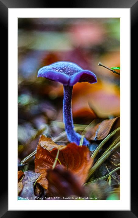 Amethyst Deceiver  Framed Mounted Print by GJS Photography Artist