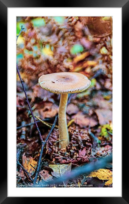 Fairground Ride Framed Mounted Print by GJS Photography Artist