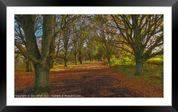 Queen Mother's Avenue Dereham Framed Mounted Print by GJS Photography Artist