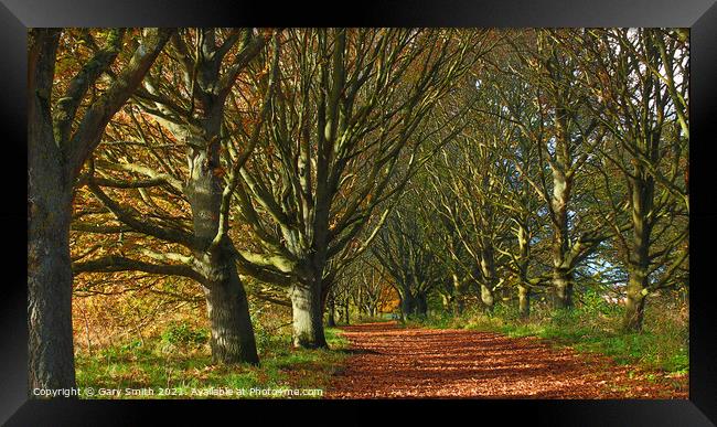 Queen Mother's Avenue Dereham Framed Print by GJS Photography Artist