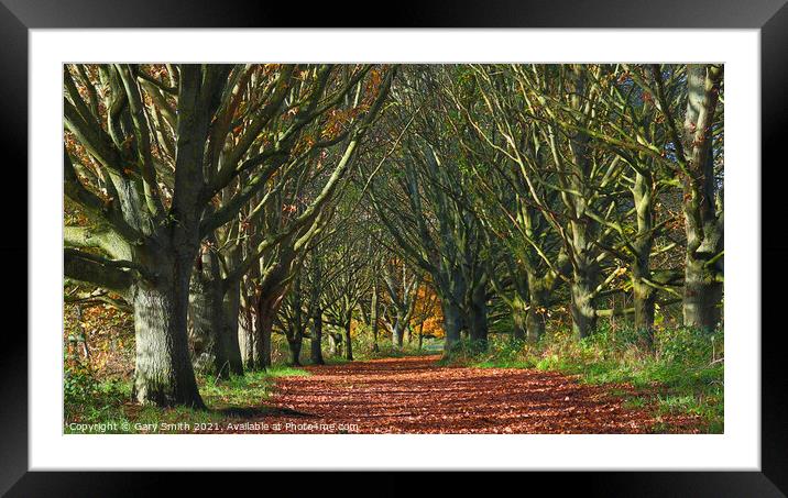 Queen Mother's Avenue Dereham Framed Mounted Print by GJS Photography Artist