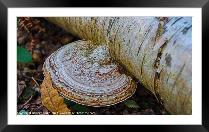 Natures Marble Framed Mounted Print by GJS Photography Artist