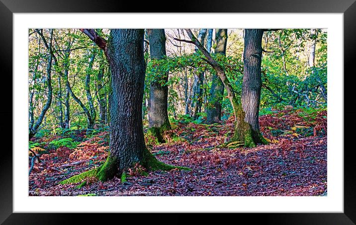 ZigZag  Framed Mounted Print by GJS Photography Artist