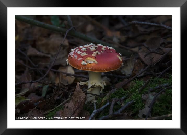 Fly Agaric (Alice in Wonderland) Dark Framed Mounted Print by GJS Photography Artist