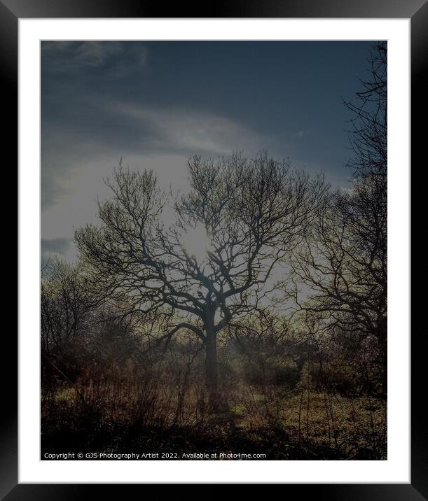 Sun Beams Through  Framed Mounted Print by GJS Photography Artist