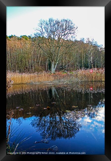 Reflections in the Pond Framed Print by GJS Photography Artist