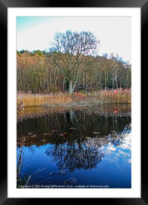 Reflections in the Pond Framed Mounted Print by GJS Photography Artist