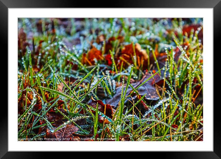 Grass Water Beading Framed Mounted Print by GJS Photography Artist