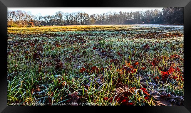 Close to the Frosty Grasses Framed Print by GJS Photography Artist