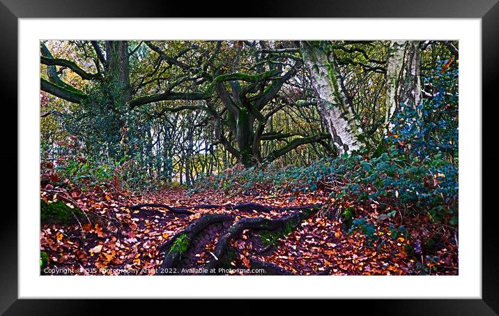 Natures Steps Framed Mounted Print by GJS Photography Artist