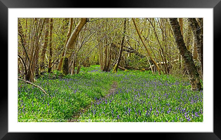 Bluebell Path Framed Mounted Print by GJS Photography Artist