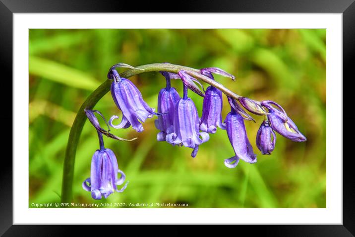 Bells in Closeup Framed Mounted Print by GJS Photography Artist