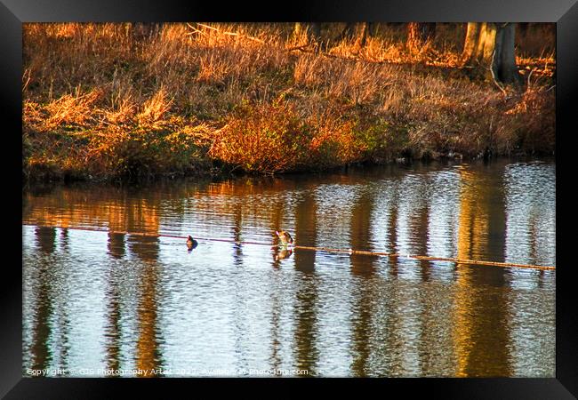 Ripples and Reflections Framed Print by GJS Photography Artist