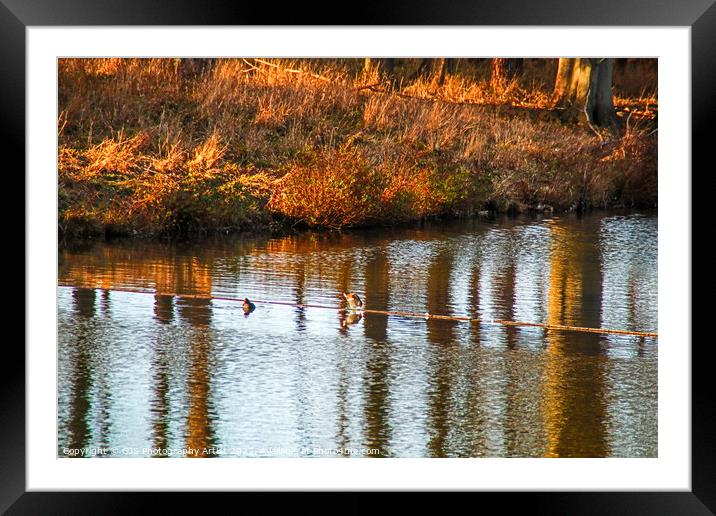 Ripples and Reflections Framed Mounted Print by GJS Photography Artist