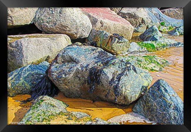 Seaweed Left on Rocks Framed Print by GJS Photography Artist