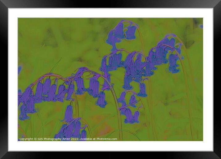 Bluebells Contrast Framed Mounted Print by GJS Photography Artist