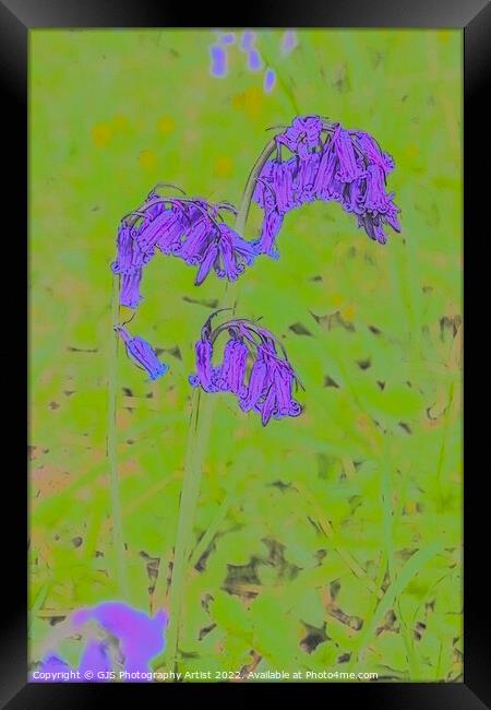 Enchanting Bluebell Wonderland Framed Print by GJS Photography Artist